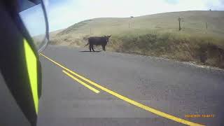 OREGON: Pendleton to Echo...Echo...Echo!