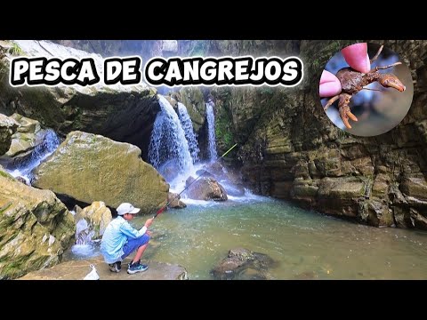 PESCA EN BOLIVIA - CHORRO MARQUIRI - TARIJA