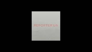 В Днепре спасали застрявшего под мостом лебедя