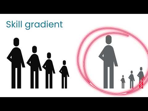 Nippin Anand: What's the skill gradient in your organisation?