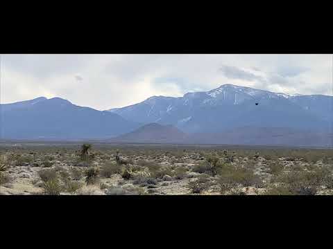 Aerial Combat: Large Hawk vs. Smaller Bird - S5.E12