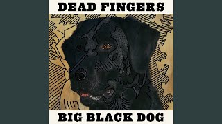 Big Black Dog