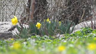 Oneohtrix Point Never - Power of Persuasion