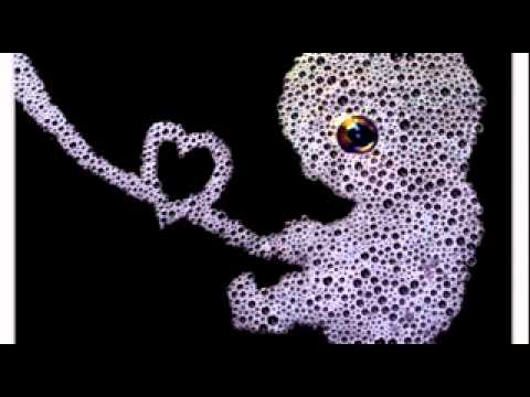 1039 Flávio Passos - Novidade