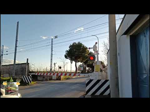 PASSAGGIO A LIVELLO DI CASAMASSIMA (2° VIDEO, LE FS64 PEGGIORANO) | ɅNDREɅUS TRENI E P.L. F.S.E.