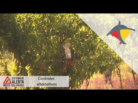 Controles Alternativos- Mosca-das-frutas