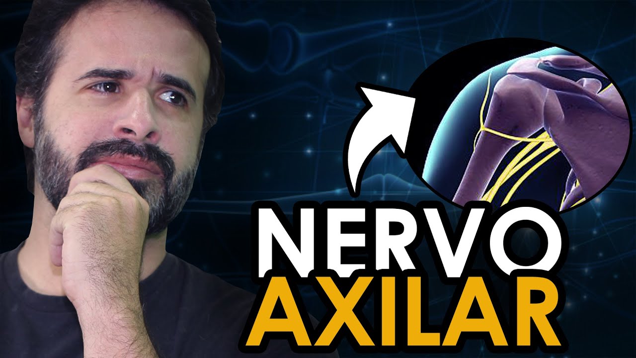 NERVO AXILAR: SE ERA DIFÍCIL VOCÊ ENTENDER, DEPOIS DESSE VÍDEO NÃO SERÁ MAIS.