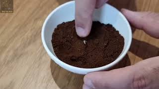 How to Burn Coffee Grounds to Get Rid of Mosquitoes - Mosquitoes Natural Repellent - Home Remedies