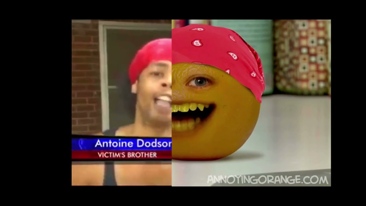 Kitchen Intruder Vs Bed intruder￼