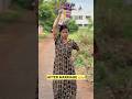 Kannada Comedy Kannada Kannadacomedy Kannadanews Dboss Shorts Shortsvideo Funny Comedy Fun