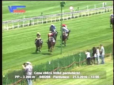 21. 5. 2016 -1. dostih - Cena vítězů Velké pardubické