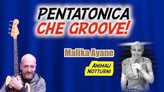 Download lagu Come usare la Scala Pentatonica Minore sul Basso | Analisi Groove “Animali Notturni” mp3