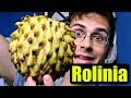 ROLLINIA REVIEW An Incredible Fruit With A Snotty Texture Weird Fruit Explorer