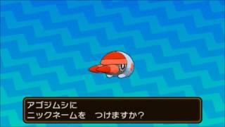 アゴジムシ ポケットモンスター キュワワー チョンチー フラベベ