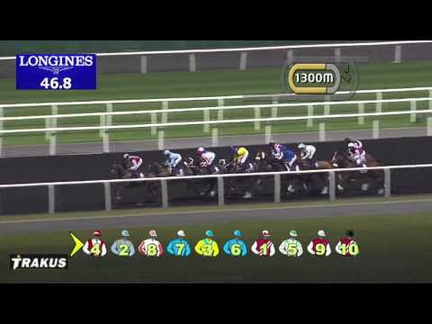 09.01.2014 Meydan (Dubai-UAE) 3.Race Longines Saint Imier - Handicap 1.900 m