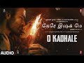 O Kadhale Audio Song Tere Ishk Mein Dhanush Kriti AR Rahman Aanand L Rai Bhushan K