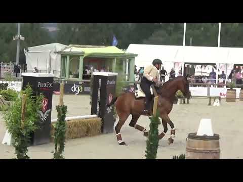 World Championship Working Equitation 2022 in les Herbiers speed test Olea Rodríguez on TRAFALGAR