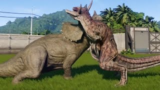 Jurassic World Evolution - TRICERATOPS (MAX ATTACK LEVEL) vs CARNOTAURUS - Gameplay HD