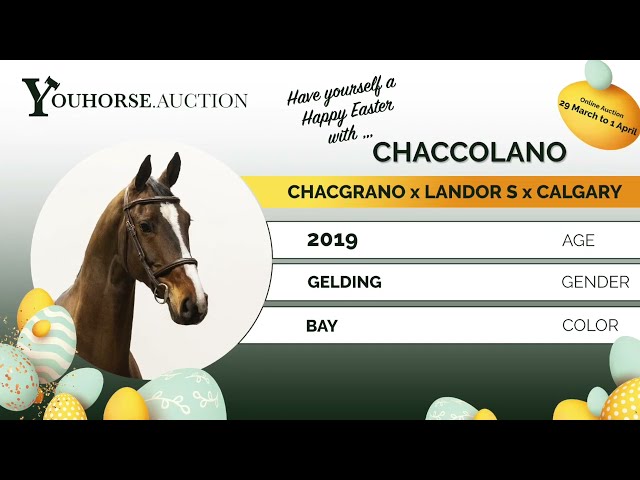 Chaccolano loose jumping