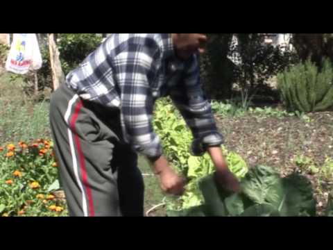 Colonia Itapebi - Salto