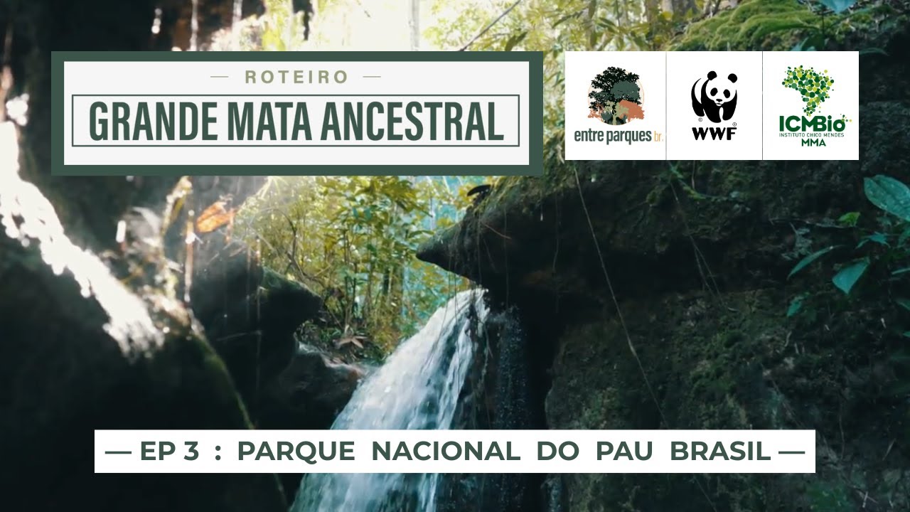 Parque Nacional do PAU BRASIL | A cachoeira escondida na GRANDE MATA ANCESTRAL [Ep. 3]