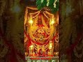 Darshan Of Amba Maa 08 Dec 22 Thursday Morning Status Shorts Dailydarshan