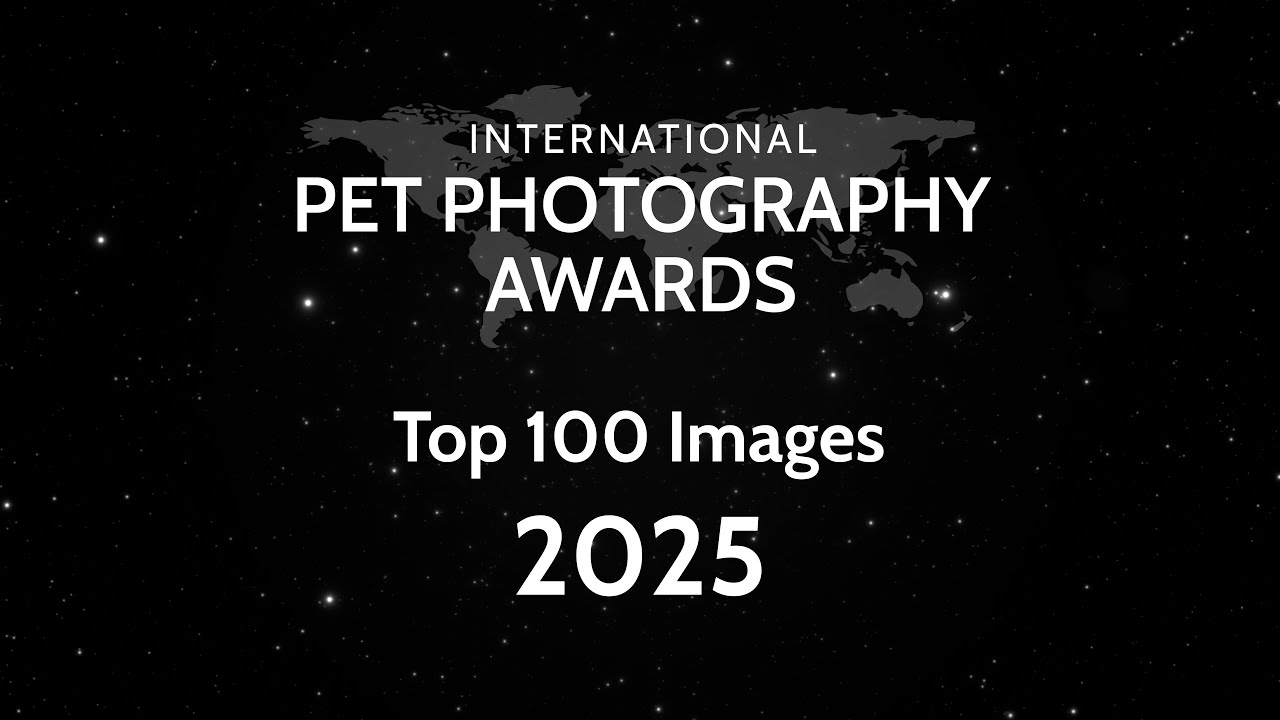 Pet Photography Awards Celebrate Global Animal Charm