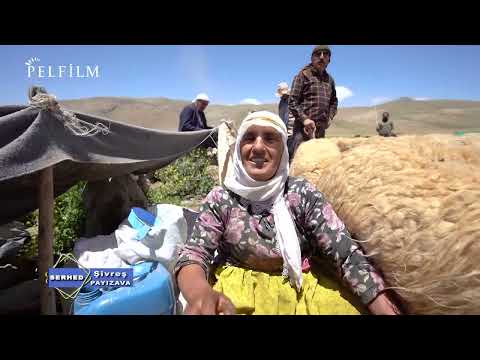 SERHED - GUNDÊ SÎVREŞ - PAYIZAVA / WAN