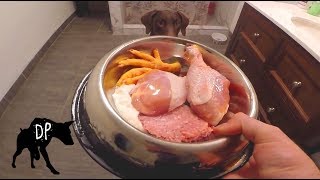 Download lagu Raw fed Doberman | Chicken, Kefir, and Ground Pork mp3