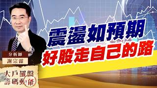 震盪如預期 好股走自己的路｜大戶羅盤籌碼動能 ｜謝宗霖 (圖)