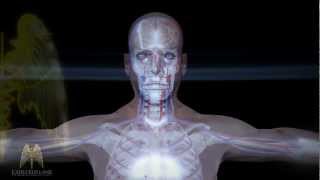 3D Medical Animations (HD) - Developed by Caduceus Lane