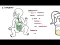 Is my baby getting enough to eat? – Newborn feeding signs
