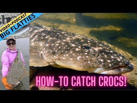 FISHING WISDOM — How-To Catch MONSTER Flathead in Skinny Water!