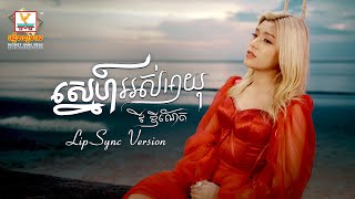 ស្នេហ៍អស់អាយុ | វី ឌីណែត | Lip-Sync Version | RHM