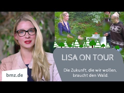 Die Zukunft, die wir wollen, braucht Wald