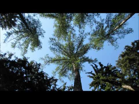 K. Plíhal - Na kolech & Ticho.wmv