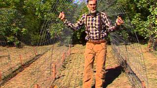 Trellis for Gourds