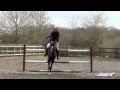 HORSE SEARCH - BUYING A HORSE HORSE SEARCH - BUYING A HORSE