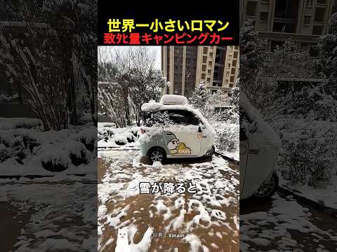 世界一小さいロマン致ﾀﾋ量キャンピングカー