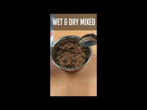 Royal Canin - How Do You Feed Your Furry Feline Friend?