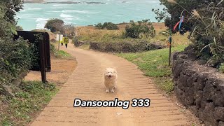 Download lagu SUB Simple Log 333 in Jeju Even if we walk together and fall apart, a vlog that is not afraid of ... mp3 Download lagu SUB Simple Log 333 in Jeju Even if we walk together and fall apart, a vlog that is not afraid of ... mp3