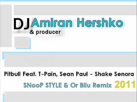 (Pitbull Feat. T-Pain, Sean Paul - Shake Senora (SNooP STYLE & Or Bilu Remix