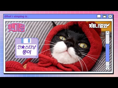 Cat Goes “Ah~” When Given A Snack lol | Pet Meetup EP.03