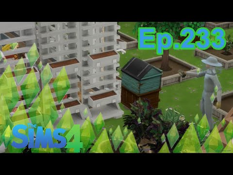 The Sims 4 Ep.233 The Grind