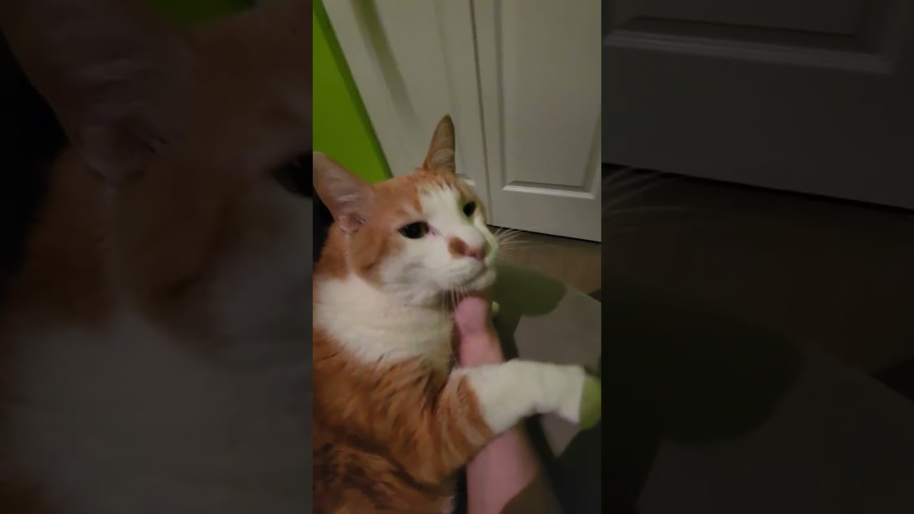 04/18/26 working out every night till i'm built like garou