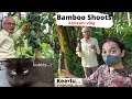 Operation Keerlu Harvesting Bamboo Shoot