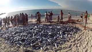 preview picture of video 'Pesca artesanal arrastão Praia Grande Arraial do Cabo Rio de Janeiro'