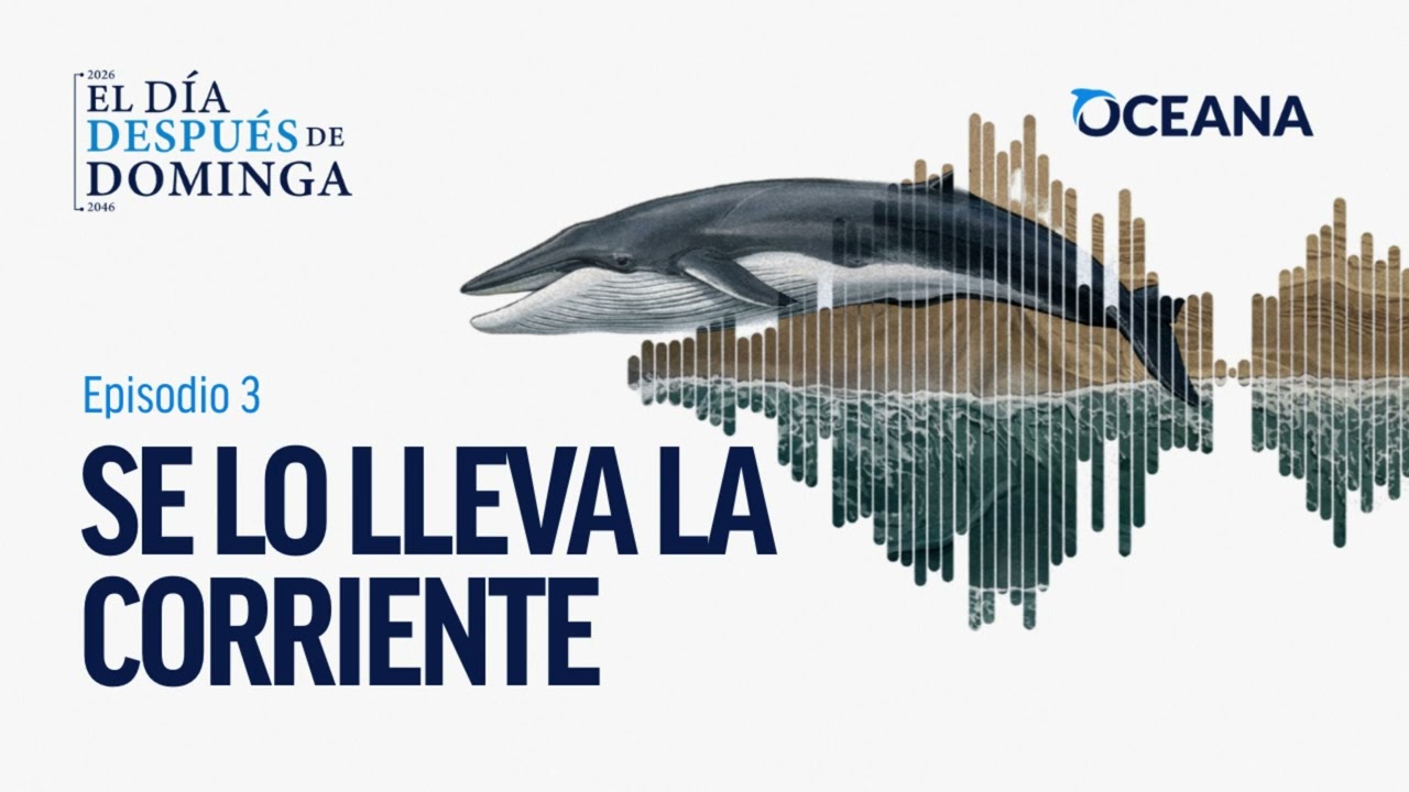 Podcast "El Día Después de Dominga": Episodio 3