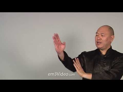 WING CHUN KUEN - Style - by Sifu Robert Chu