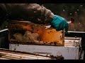 LEECO HONEY 2023 COMING SOON